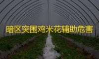 暗区突围鸡米花辅助危害分析	：破坏公平、风险巨大	
，如何维护游戏环境 ？